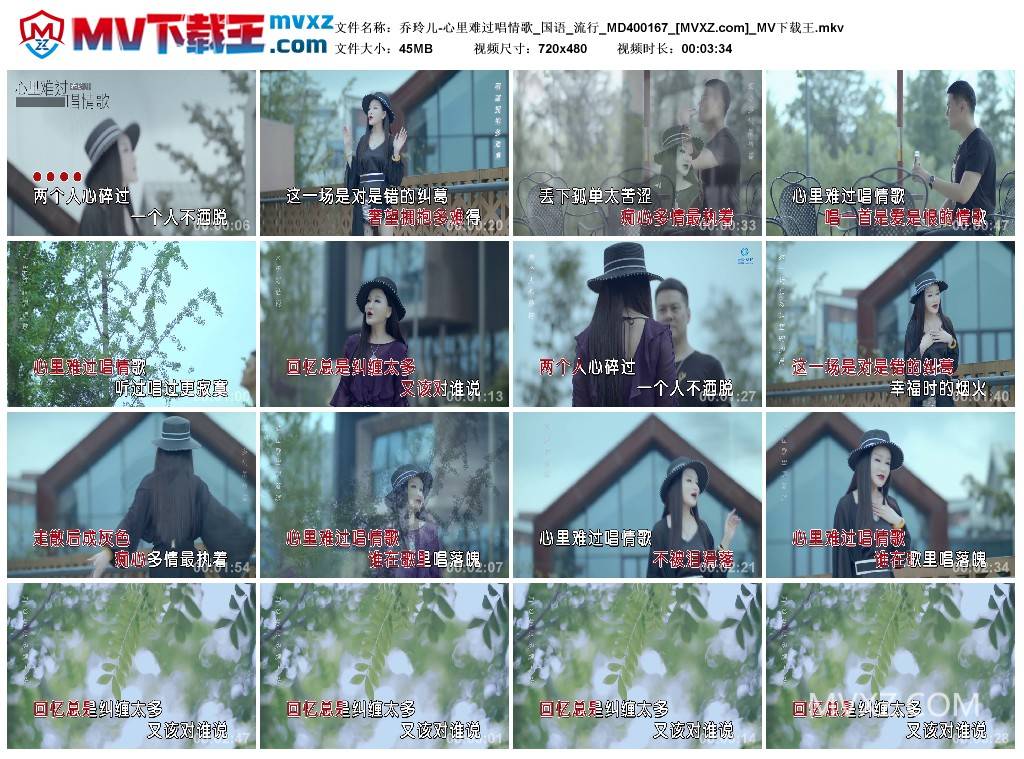 乔玲儿-心里难过唱情歌_国语_流行_MD400167